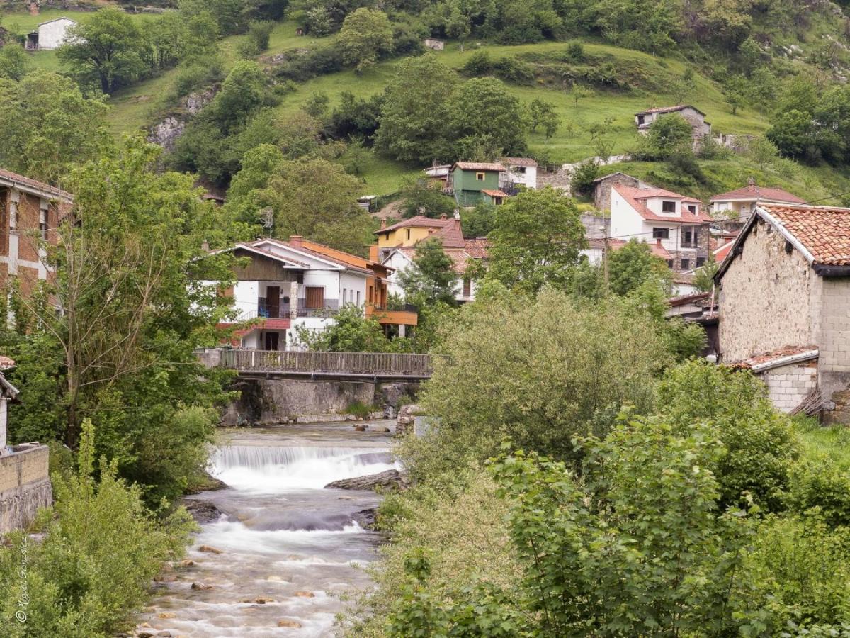 Apto. De Montana La Campa En Felechosa Dış mekan fotoğraf