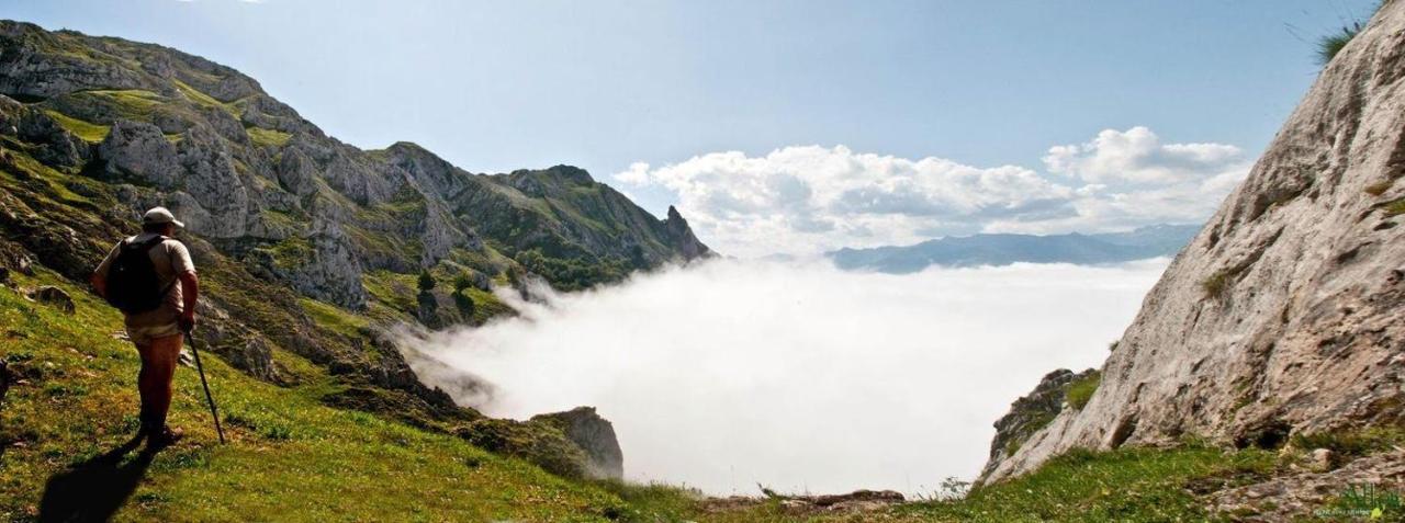 Apto. De Montana La Campa En Felechosa Dış mekan fotoğraf